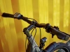 Trek Allant+ 5 M niski przekrok