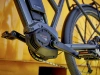 Trek Allant+ 5 M niski przekrok